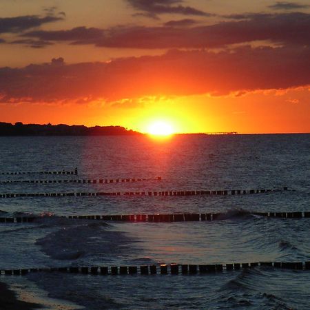 Ostsee Hotel-Pension An Der Lindenallee バート・ドーベラン エクステリア 写真