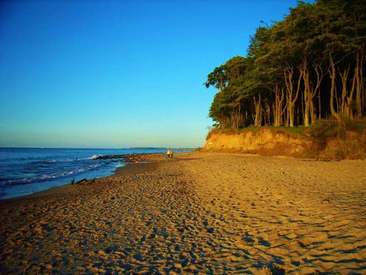 Ostsee Hotel-Pension An Der Lindenallee バート・ドーベラン エクステリア 写真