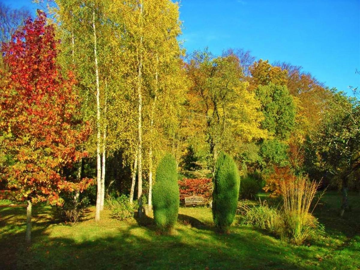 Ostsee Hotel-Pension An Der Lindenallee バート・ドーベラン エクステリア 写真