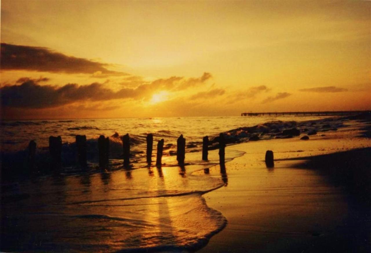 Ostsee Hotel-Pension An Der Lindenallee バート・ドーベラン エクステリア 写真
