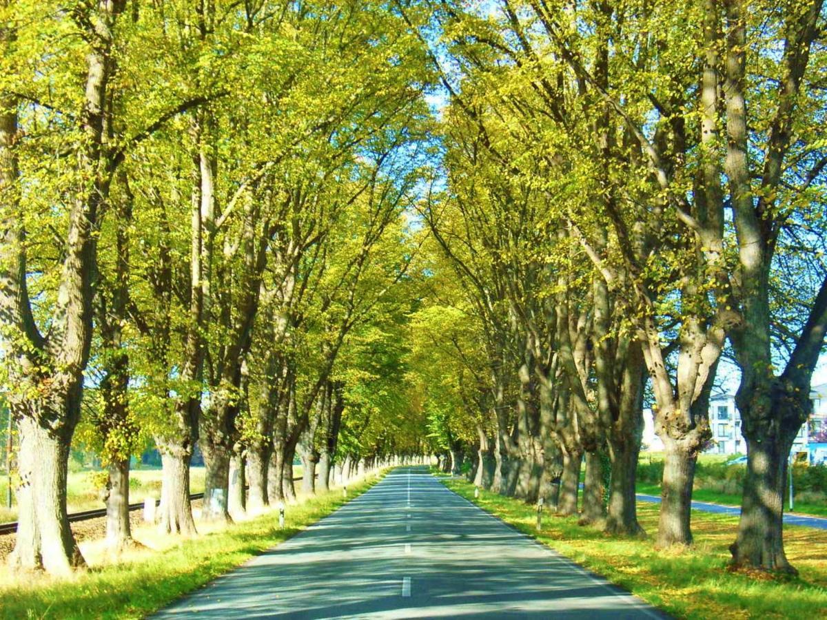 Ostsee Hotel-Pension An Der Lindenallee バート・ドーベラン エクステリア 写真