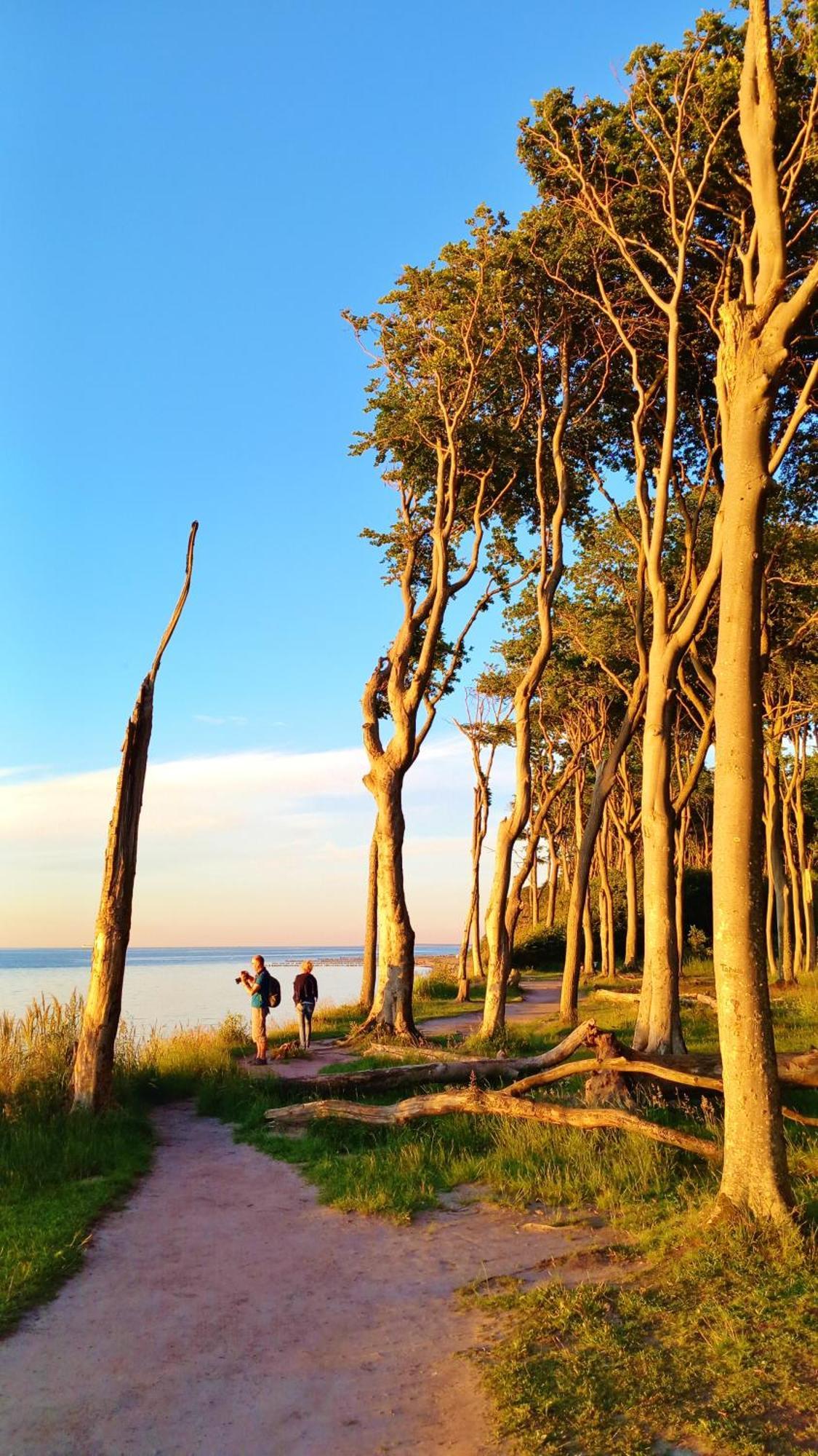 Ostsee Hotel-Pension An Der Lindenallee バート・ドーベラン エクステリア 写真