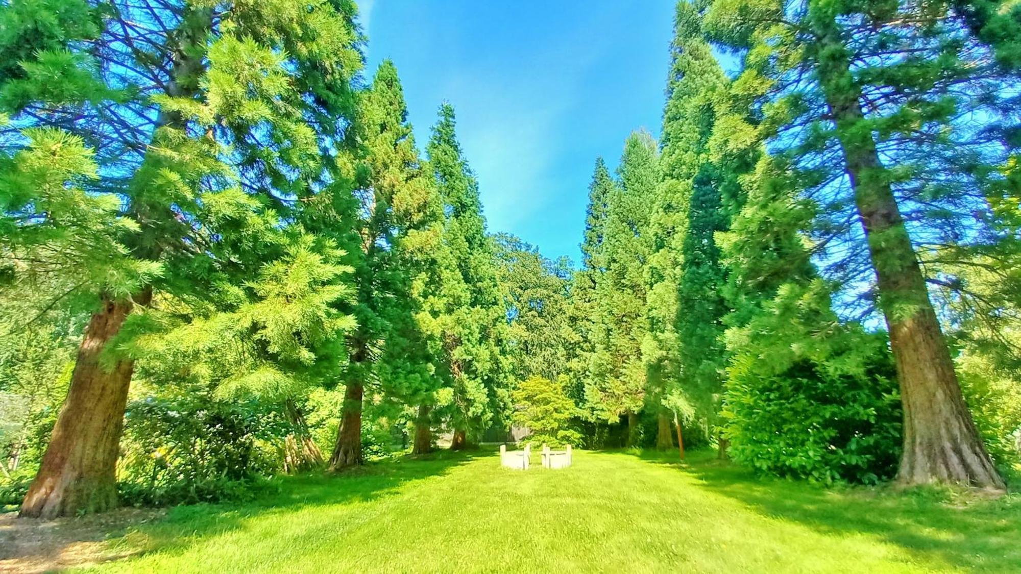 Ostsee Hotel-Pension An Der Lindenallee バート・ドーベラン 部屋 写真