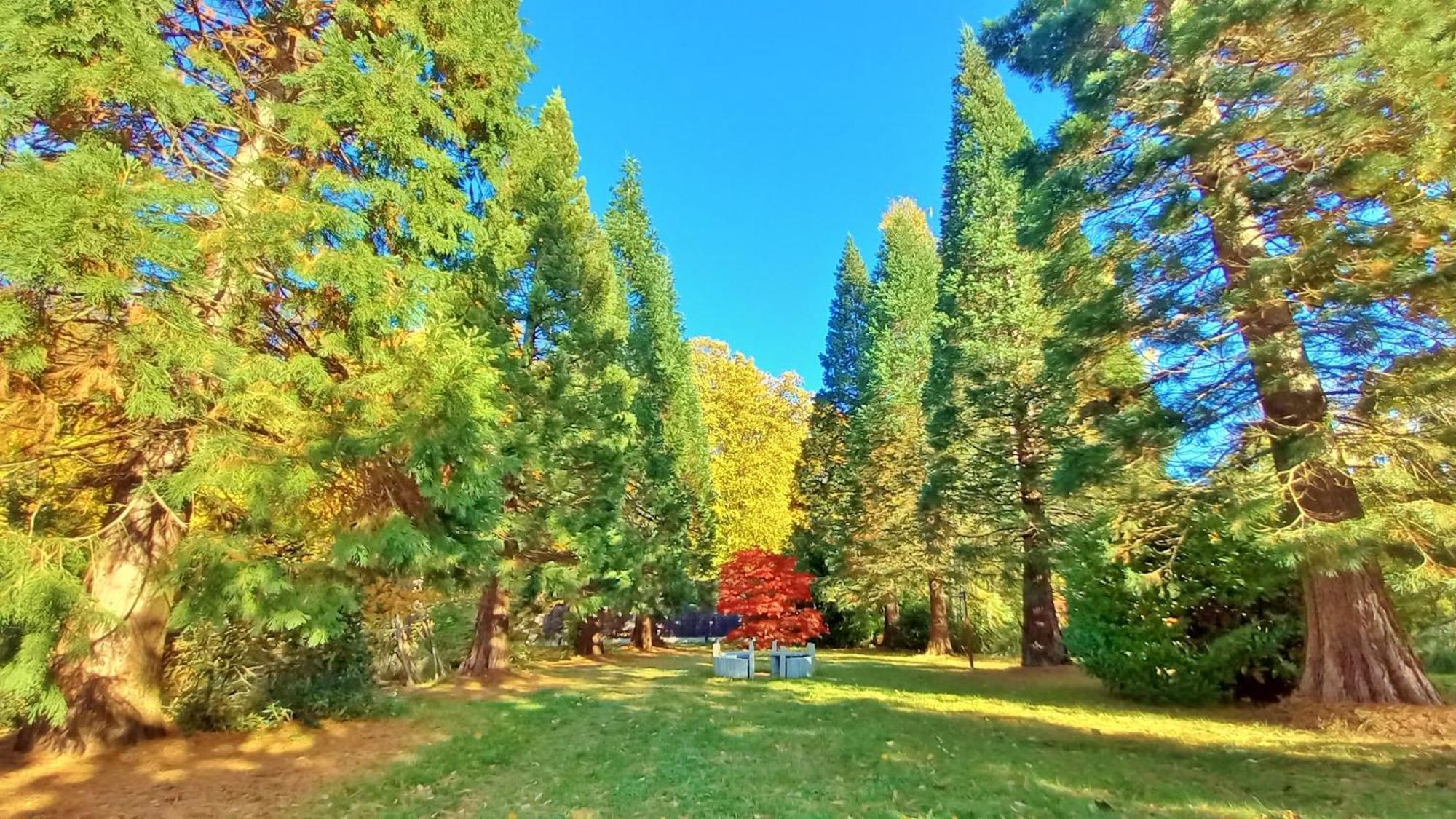 Ostsee Hotel-Pension An Der Lindenallee バート・ドーベラン 部屋 写真