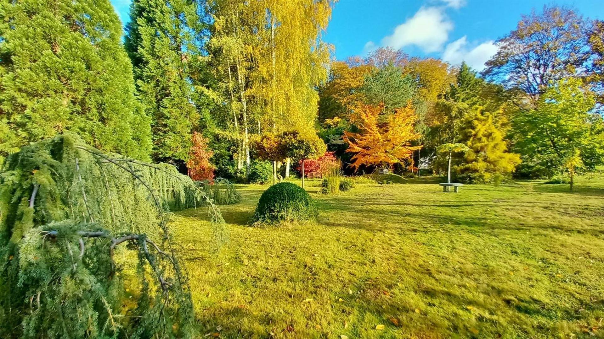 Ostsee Hotel-Pension An Der Lindenallee バート・ドーベラン エクステリア 写真