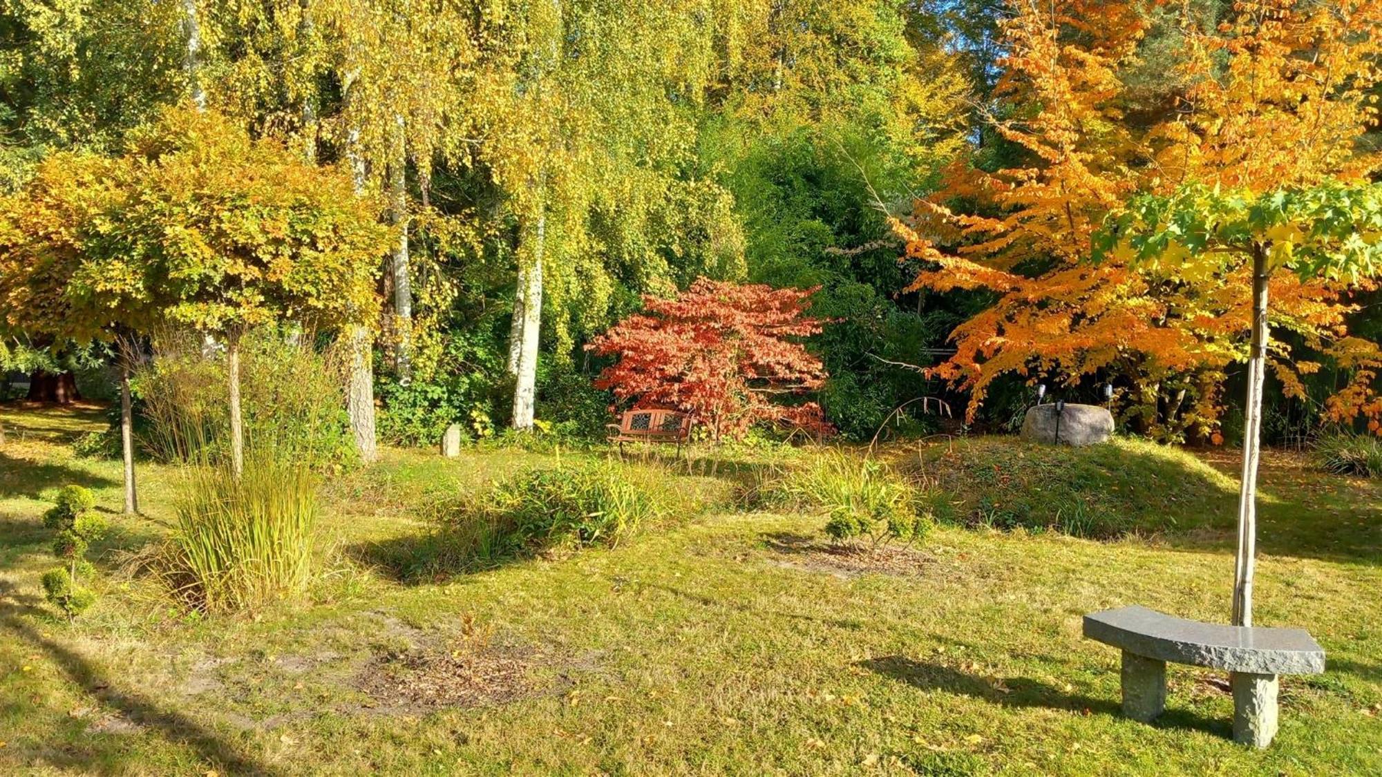 Ostsee Hotel-Pension An Der Lindenallee バート・ドーベラン エクステリア 写真