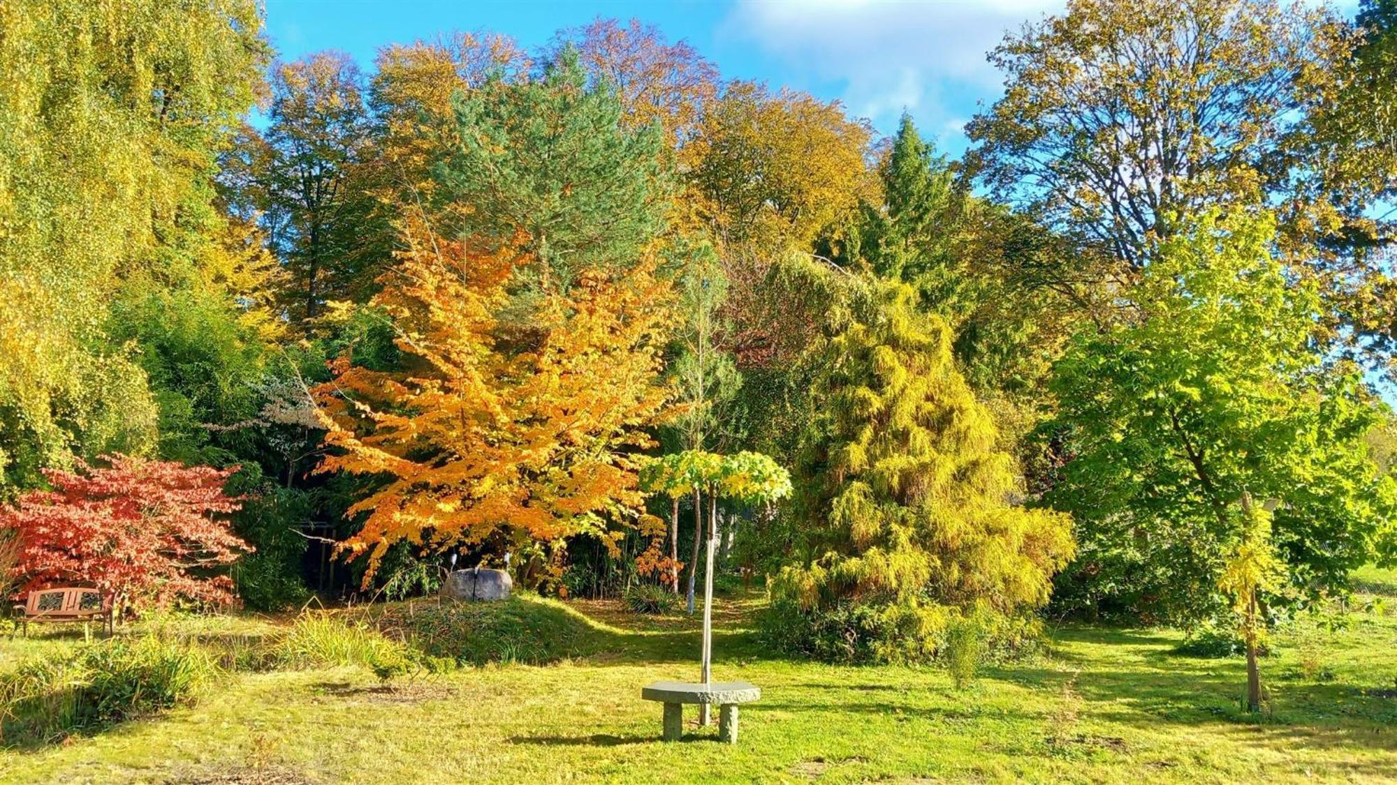 Ostsee Hotel-Pension An Der Lindenallee バート・ドーベラン エクステリア 写真