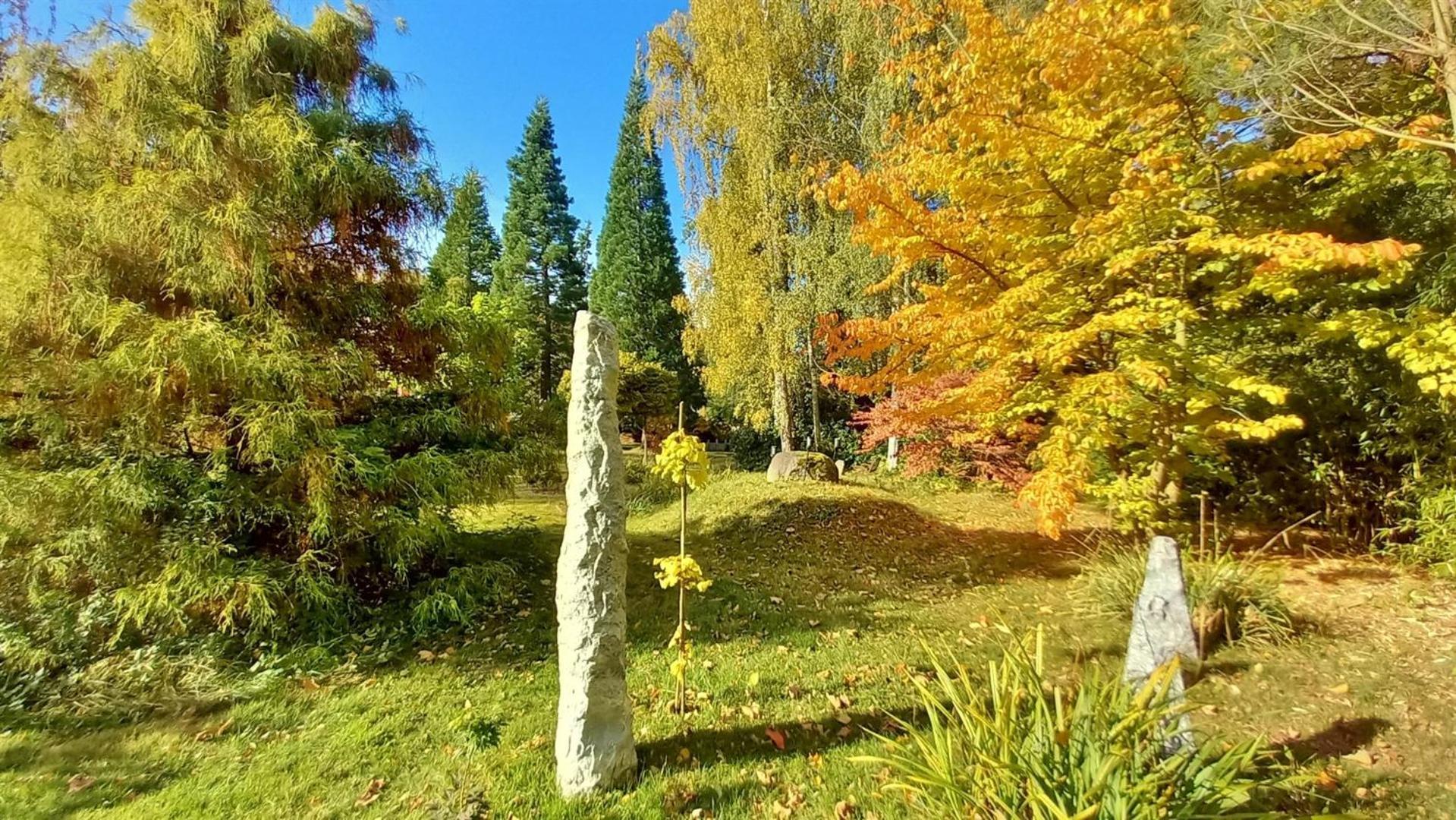 Ostsee Hotel-Pension An Der Lindenallee バート・ドーベラン エクステリア 写真