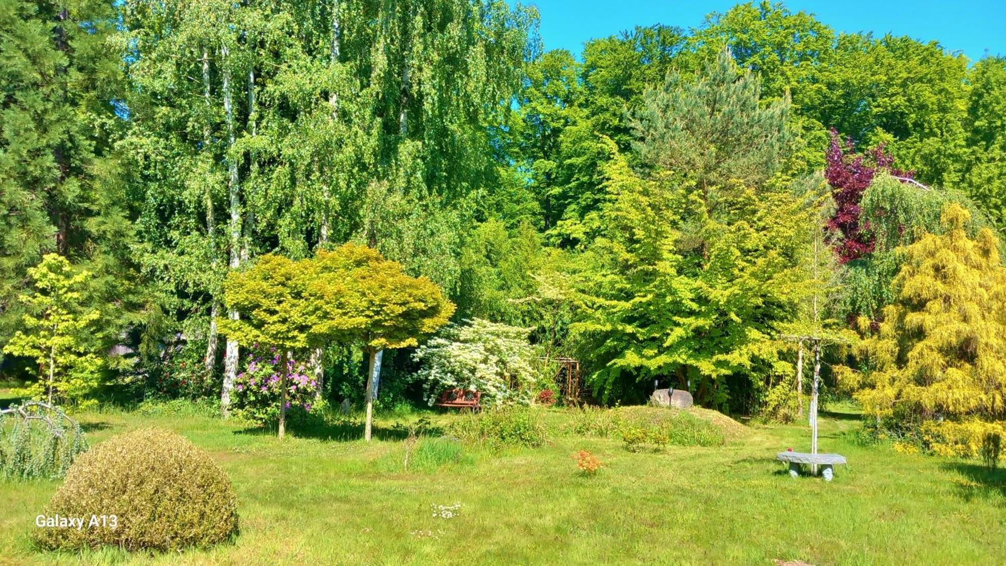 Ostsee Hotel-Pension An Der Lindenallee バート・ドーベラン エクステリア 写真
